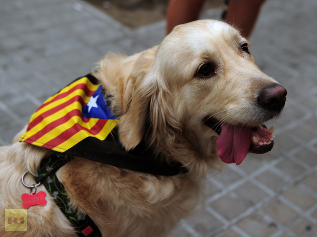 AFP Photo/Lluis Gene 